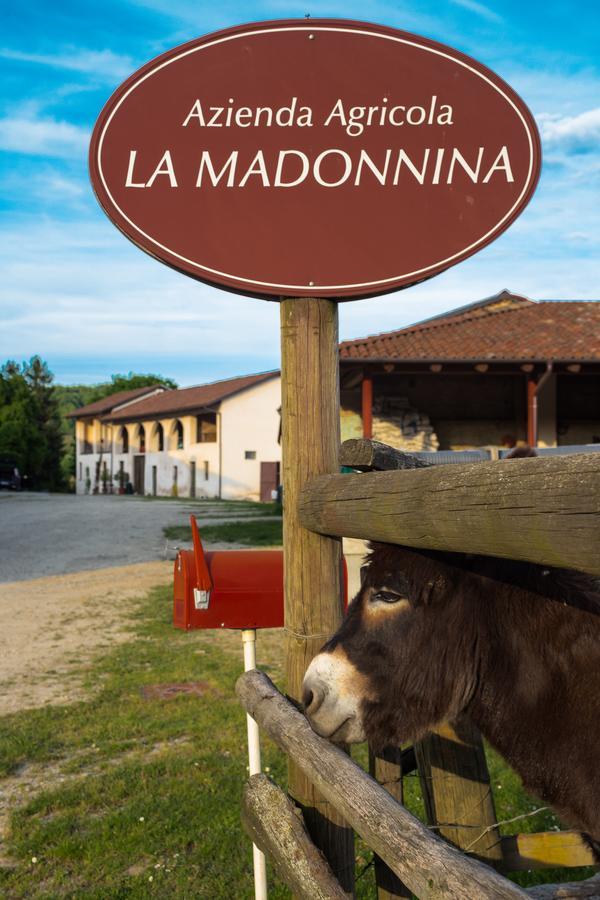 La Madonnina Agriturismo Dore Alba  Exterior photo